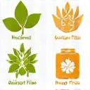 Iconos de alimentos veganos, sin gluten y sin lactosa